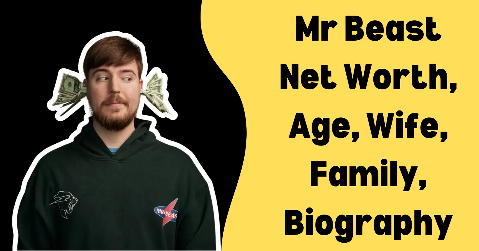 Mr. Beast’s Net Worth, Age, Wife, Biography