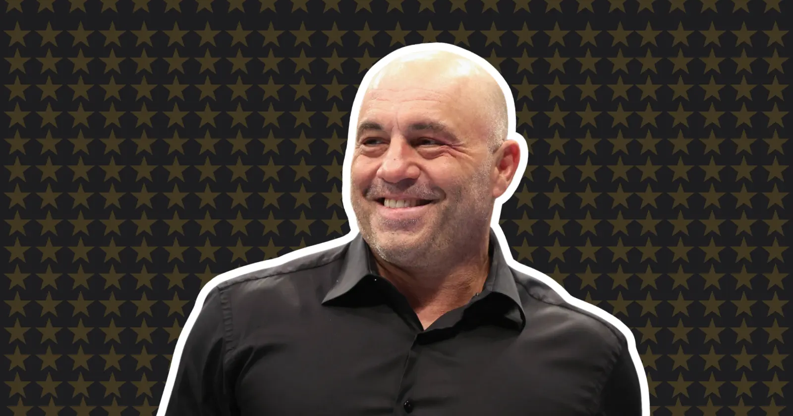 Joe Rogan Net Worth, Age, Wife, Biography